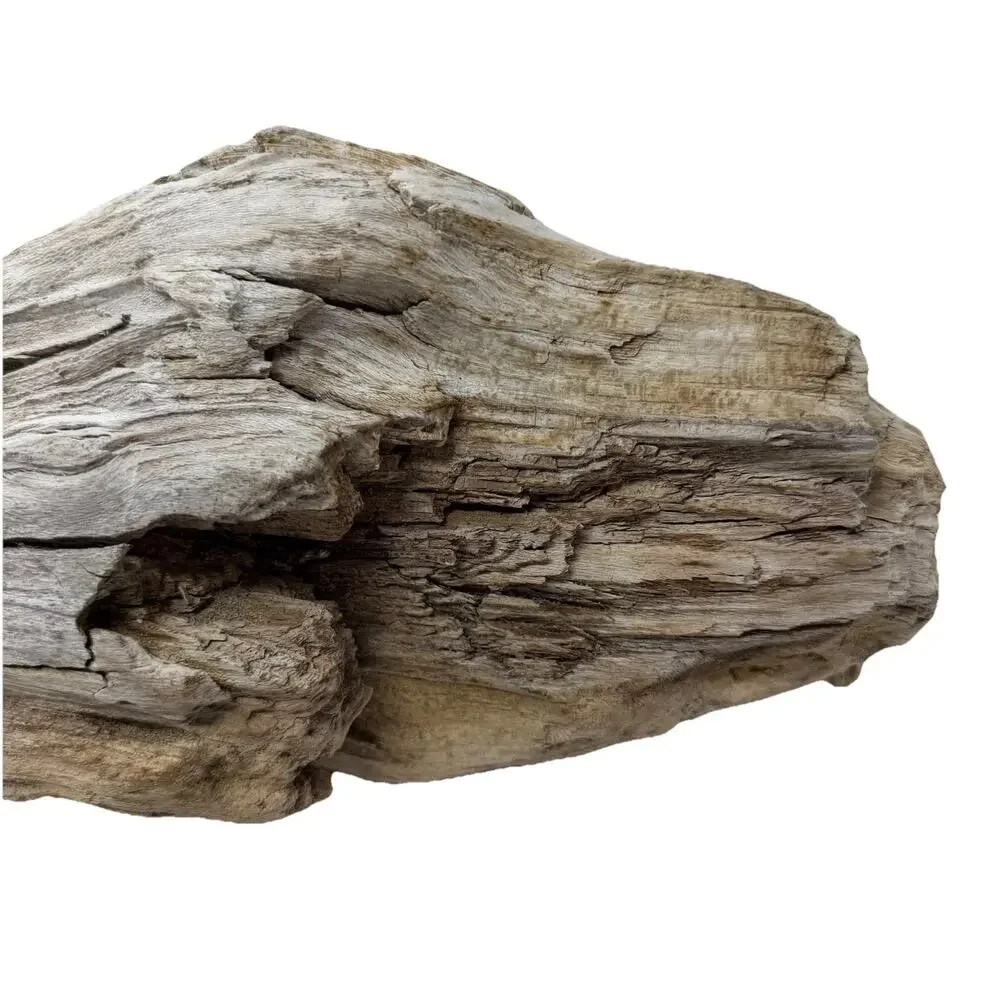 Large White Weathered Driftwood Log Sculpture – Natural Coastal Decor Statement
